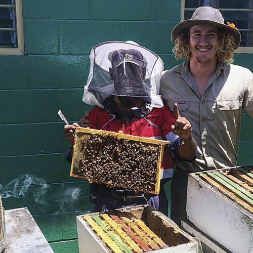 New Honey Bee Research Centre Dr Cooper Schouten is the director of a new bee research centre.